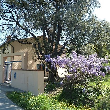 Al Vecchio Leccio Guest House Pistoia Exterior photo