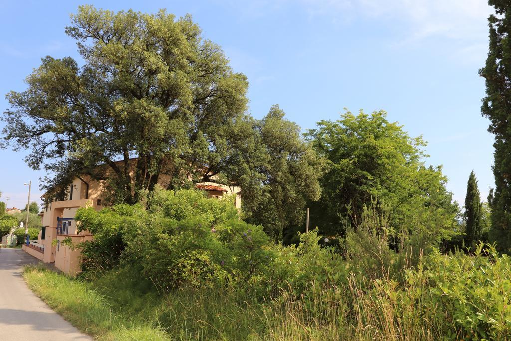 Al Vecchio Leccio Guest House Pistoia Exterior photo