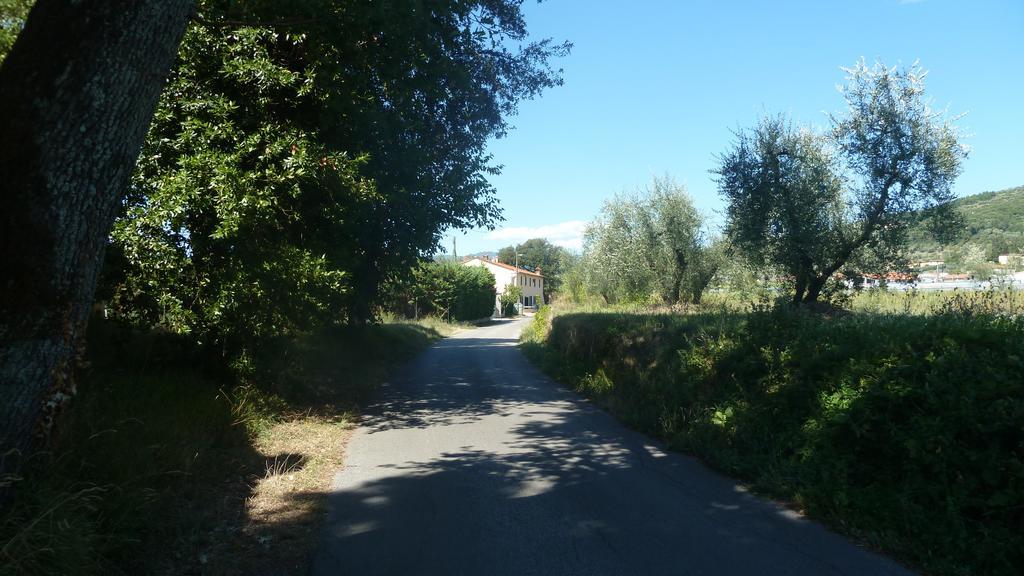 Al Vecchio Leccio Guest House Pistoia Exterior photo