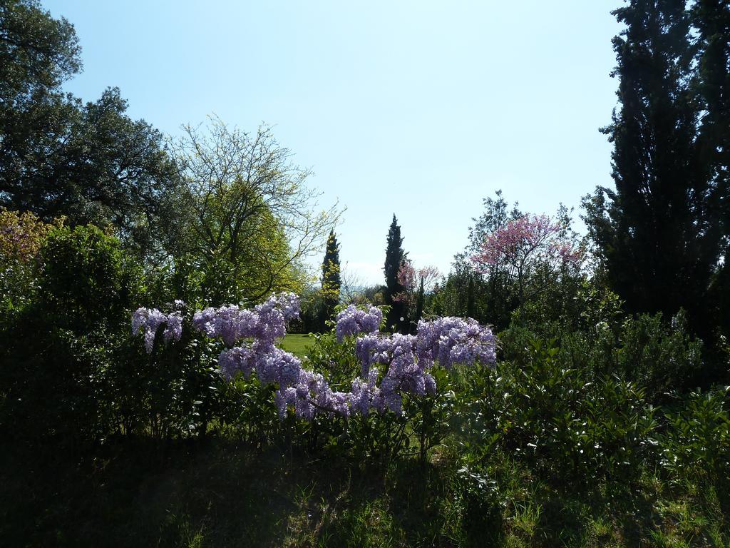 Al Vecchio Leccio Guest House Pistoia Exterior photo